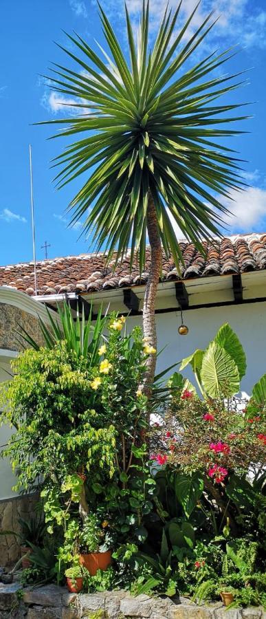 Hotel Posada Casa Juana San Cristóbal de Las Casas Eksteriør billede